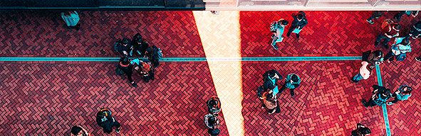 Participación ciudadana y cambio social: Jóvenes y valores