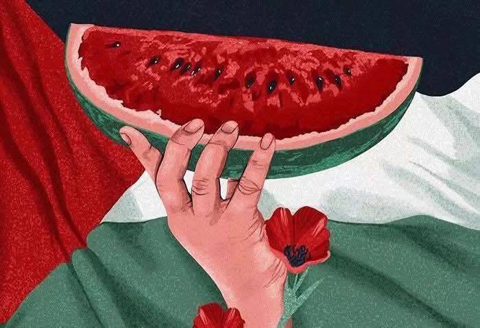 El eco de Gaza en nuestras aulas