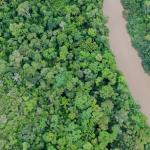 Mercadillo solidario a favor de la Amazonia