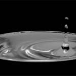 El grito del agua concurso